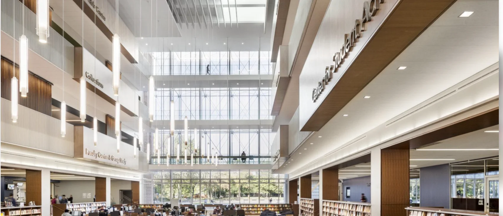 Bright contemporary academic library